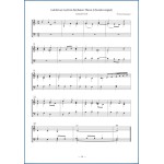 30 stilgerechte Choralbearbeitungen zum neuen Gotteslob für  Orgel, Band 1