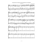 30 stilgerechte Choralbearbeitungen zum neuen Gotteslob für  Orgel, Band 2
