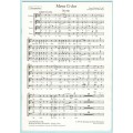 Franz Schubert, Messe G-dur D 167, Chorpartitur
