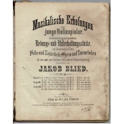 Musikalische Erholungen für junge Violinspieler